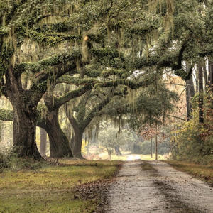 Low Country Secrets