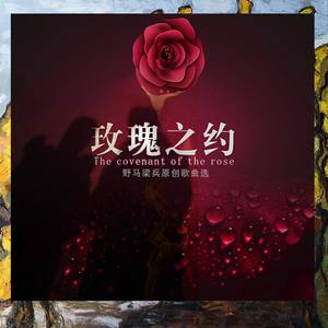 诗和远方 (新版)