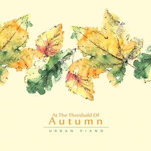 낭만을 만나다 (Meet Romance)