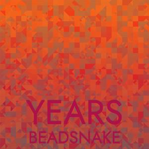 Years Beadsnake