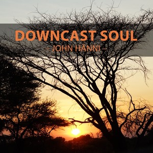 Downcast Soul