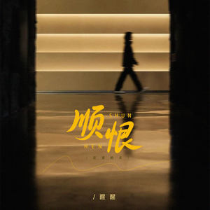 顺恨 (逆爱的兵)