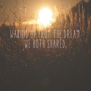 Let's go, Through the golden fields