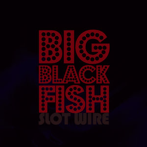 Big Black Fish