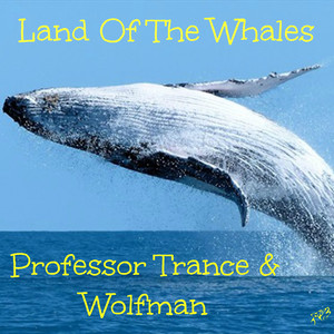 Land Of The Whales (Radio Edit)