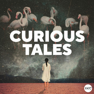 Curious Tales