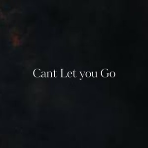 Cant Let You Go