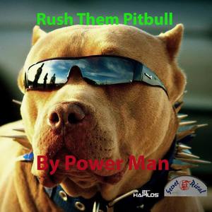 Rush Them Pitbull
