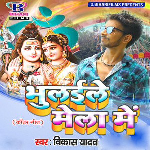 Bhulaile Mela Mein - Single