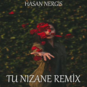 Tu Nizane (Remix)