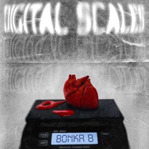 Digital Scales (Explicit)