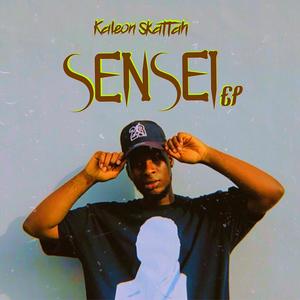 SENSEI (Explicit)