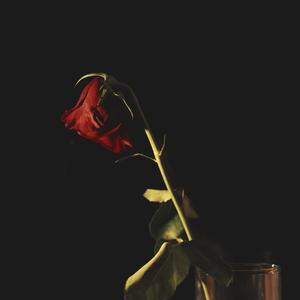 Cosa rimane (feat. Tenshi)