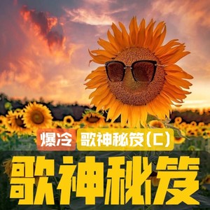 铁塔凌云 (Live)封面