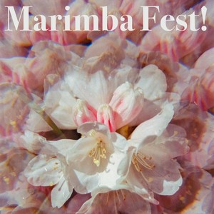 Marimba Fest!