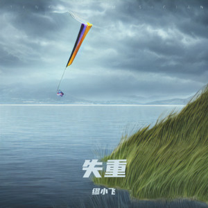 理想在风中失重