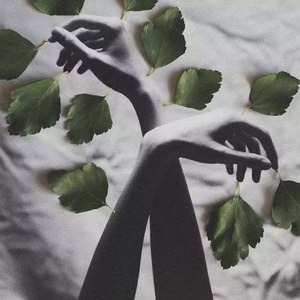 练手曲-Kobe Bean Bryant