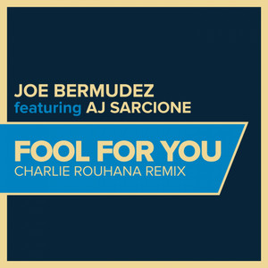 Fool For You (Charlie Rouhana Remix Radio Edit)
