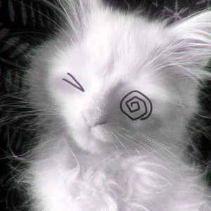 JOY BOY!! (Explicit)