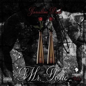 Mr. Toxic, Vol. 2 (Explicit)