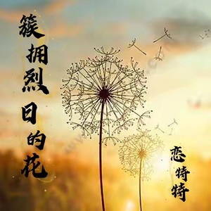 簇拥烈日的花封面
