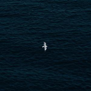 Legendary Lovers (Super Slowed)