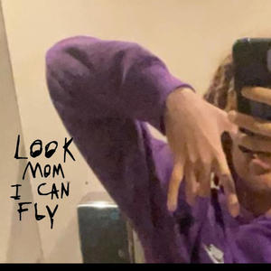 fly (Explicit)
