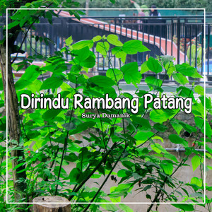 Rindu Dirambang Patang