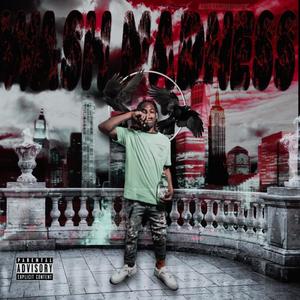 Only Wash Ave (OWA) (feat. Ya Skinoo & Danny PT) (Explicit)