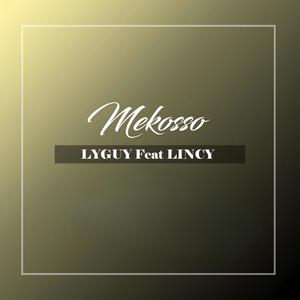 Mekosso (feat. LINCY)