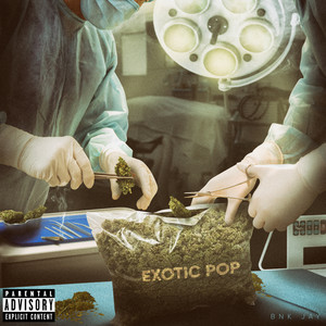 Exotic Pop (Explicit)