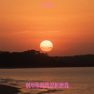 别用你的残忍折磨我