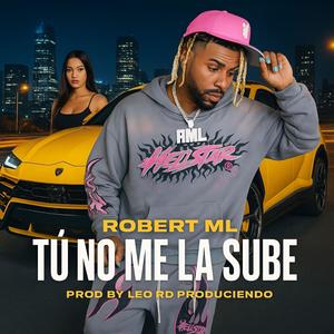 TU NO ME LA SUBE (LEO RD)