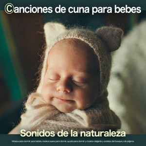 Canciones de cuna para bebes - Sonidos de la naturaleza -  Música para dormir para bebés, música suave para dormir, ayuda para dormir y música relajante y sonidos del bosque y de pájaros