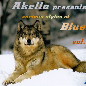 Akella Presents Various Styles Of Blues vol.1