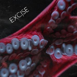 Excise (Explicit)