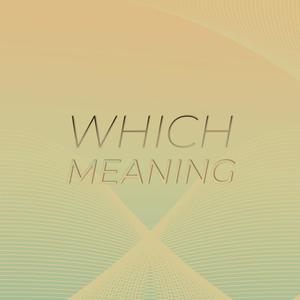 Which Meaning
