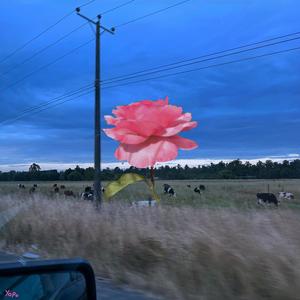 ready to die (feat. lemonghask) (Explicit)