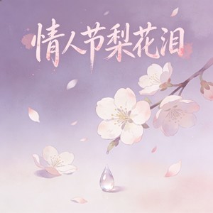 情人节梨花泪