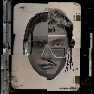 SCRATCH THE FLEA POINT (Explicit)