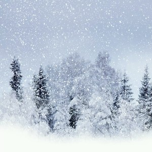 夏之雪