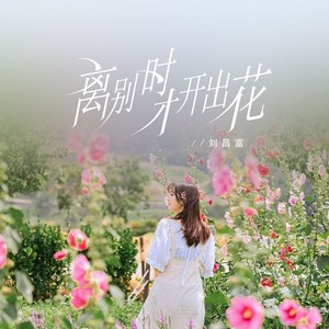 离别时才开出花 (DJ何友版)