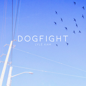 Dogfight