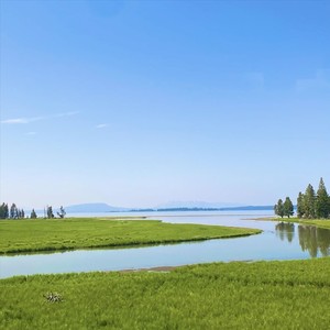 Scuffathon Song Compendium