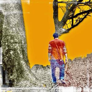 Can't Fight the Sunrise (Explicit)