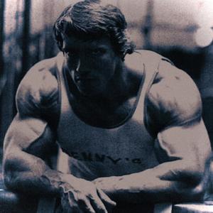 The Gym Will Change You (Arnold Schwarzenegger) (feat. Andreas Mark-Skousgaard)