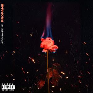 Propane (Explicit)