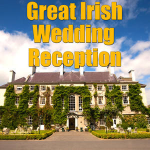 Great Irish Wedding Reception, Vol.2