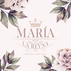 Despidamos al Hermano