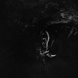 STAND ASIDE (feat. lophiile) (Explicit)